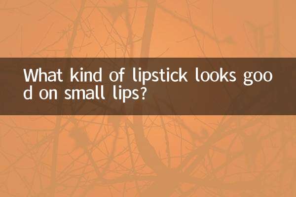 小嘴巴涂什么口红好看