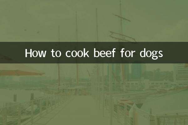 كيفية طهي لحم البقر للكلاب