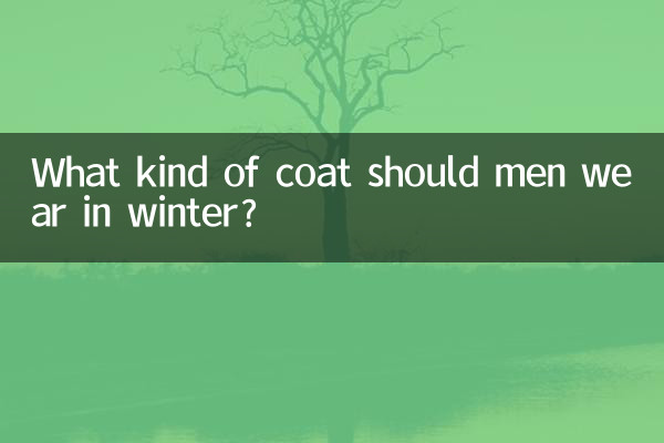 Quel type de manteau les hommes doivent-ils porter en hiver ?
