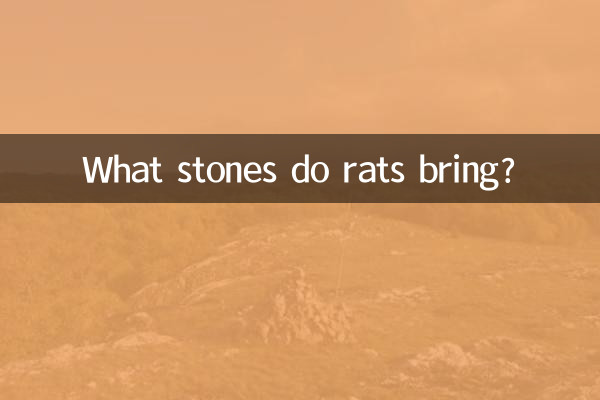 موش ها چه سنگ هایی می آورند؟