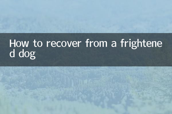 Cómo recuperarse de un perro asustado