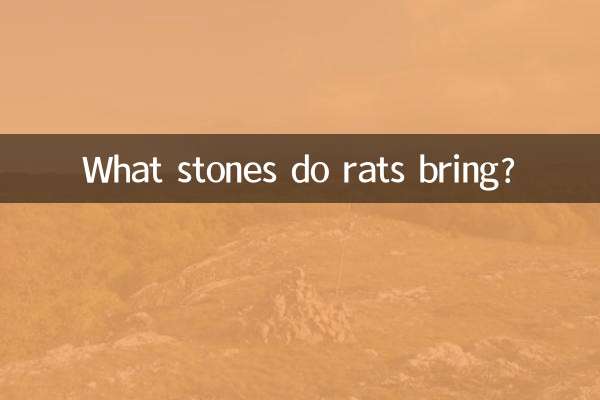 موش ها چه سنگ هایی می آورند؟