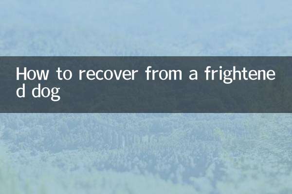 Cómo recuperarse de un perro asustado