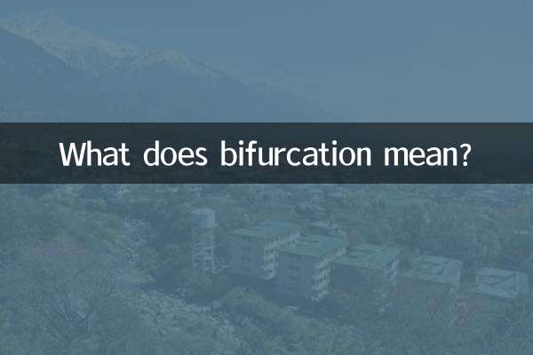 Que signifie bifurcation ?