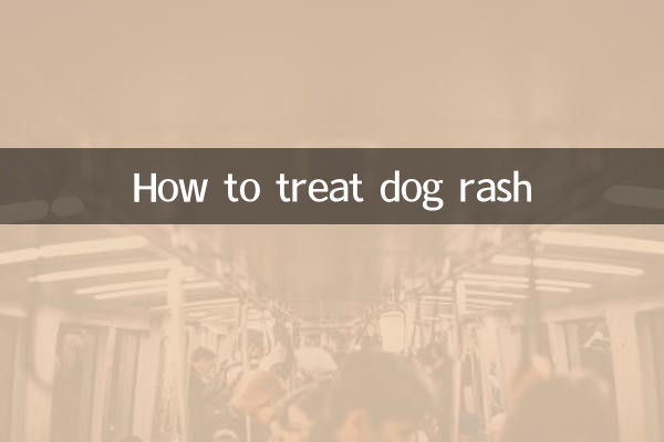 Come trattare l'eruzione cutanea nel cane