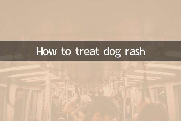 Come trattare l'eruzione cutanea nel cane