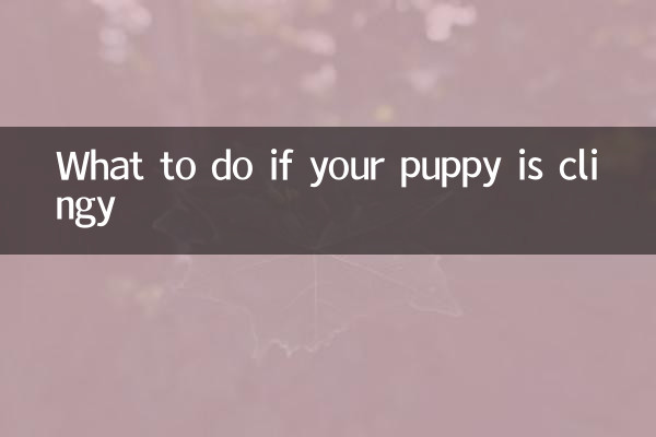What to do if your puppy is clingy
