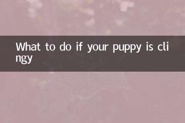 What to do if your puppy is clingy