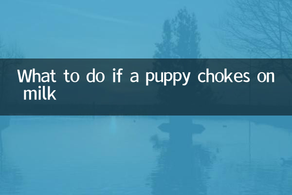 What to do if a puppy chokes on milk