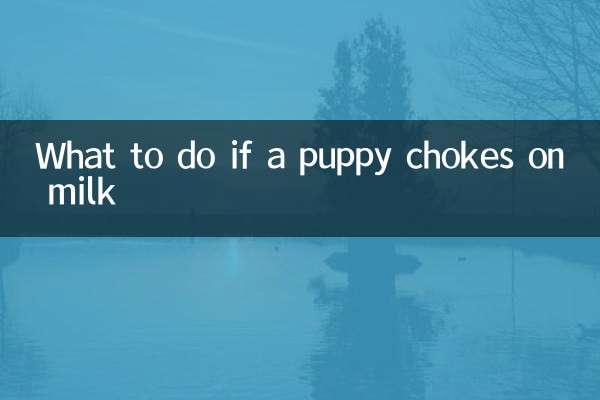 What to do if a puppy chokes on milk