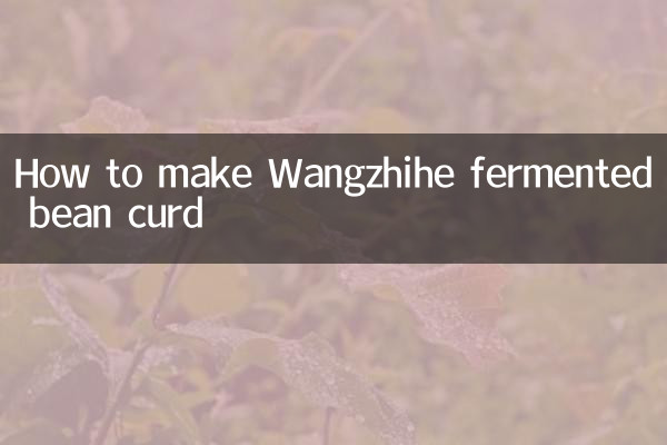 কিভাবে Wangzhihe fermented শিম দই করা