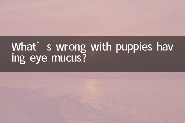 ما هو الخطأ في وجود مخاط في عيون الجراء؟