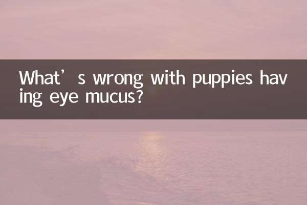 ما هو الخطأ في وجود مخاط في عيون الجراء؟