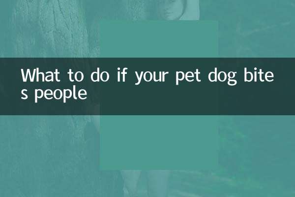 宠物狗爱咬人怎么办