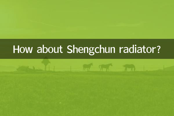 Que tal o radiador Shengchun?
