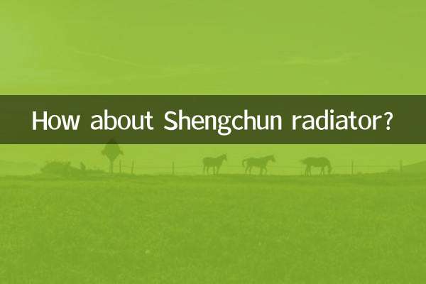 Que tal o radiador Shengchun?