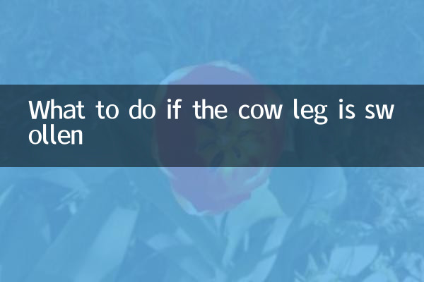 소 다리가 부어오르면 어떻게 해야 할까요?