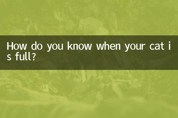 Comment savoir quand votre chat est rassasié ?