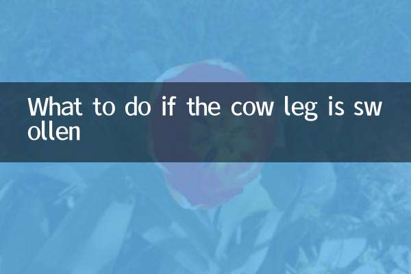 소 다리가 부어오르면 어떻게 해야 할까요?