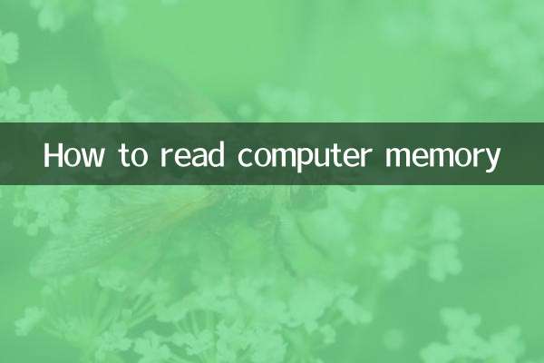 So lesen Sie den Computerspeicher aus