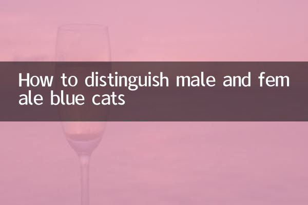 How to distinguish male and female blue cats
