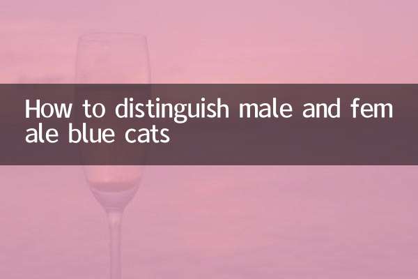 How to distinguish male and female blue cats