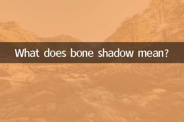 뼈 그림자는 무슨 뜻인가요?