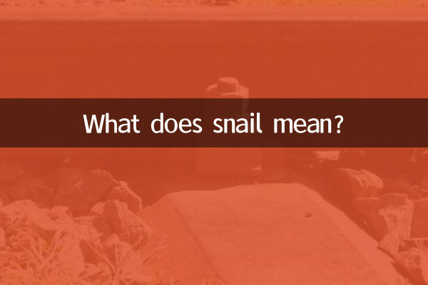 Was bedeutet Schnecke?