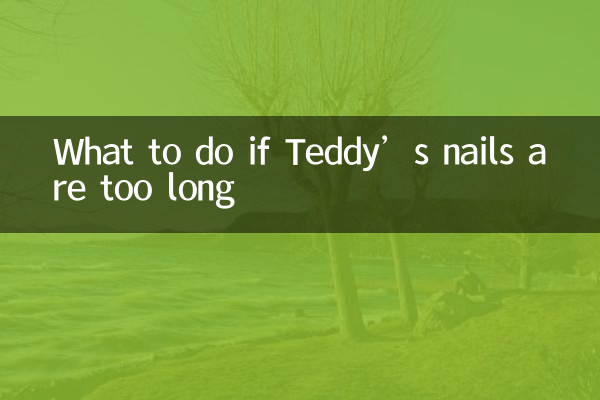 টেডির নখ খুব লম্বা হলে কী করবেন
