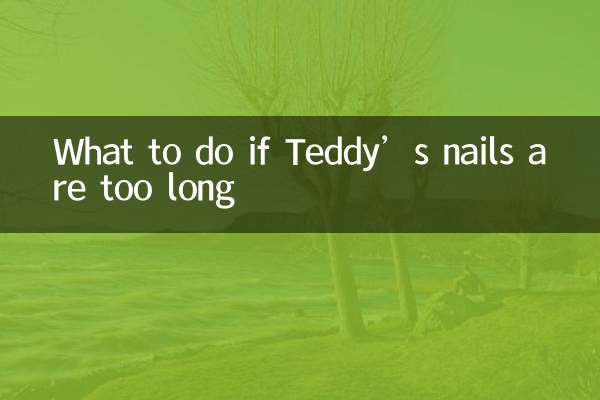 O que fazer se as unhas de Teddy forem muito compridas