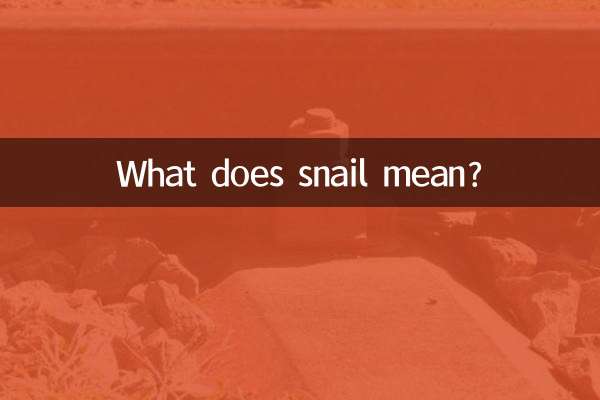 Was bedeutet Schnecke?