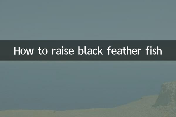 How to raise black feather fish