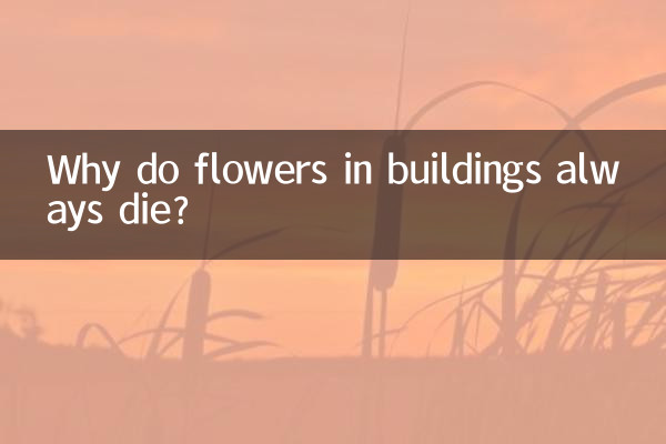 건물의 꽃은 왜 항상 죽나요?