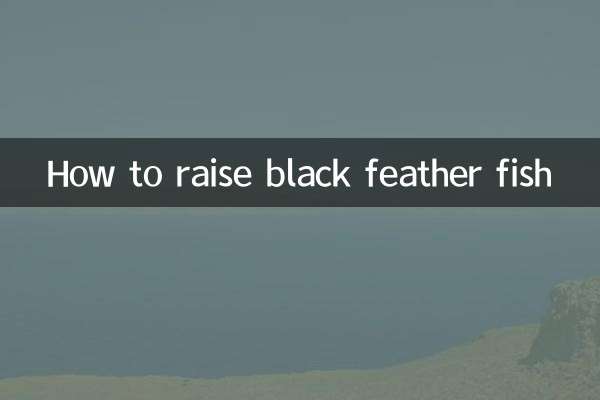 কিভাবে কালো পালক মাছ বাড়াতে