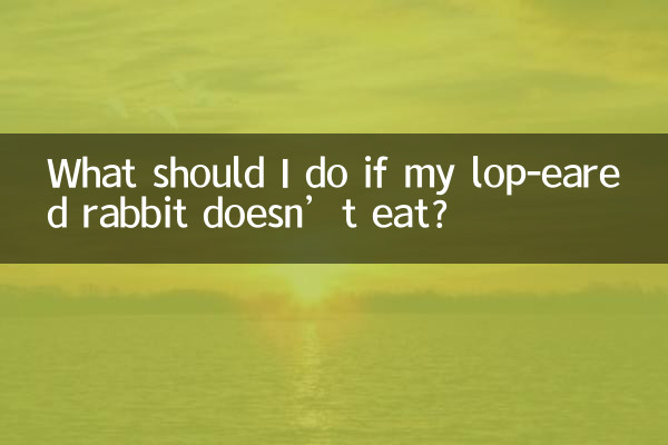 귀가 늘어진 토끼가 밥을 먹지 않으면 어떻게 해야 하나요?