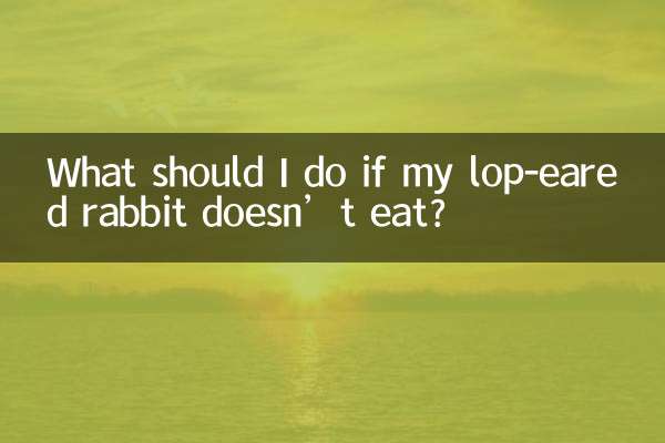 ¿Qué debo hacer si mi conejo de orejas caídas no come?