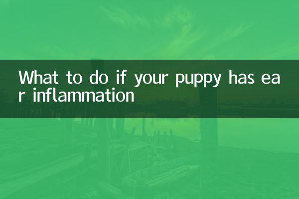 Что делать, если у вашего щенка воспаление ушей