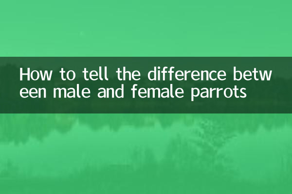 কিভাবে পুরুষ এবং মহিলা তোতা মধ্যে পার্থক্য বলতে