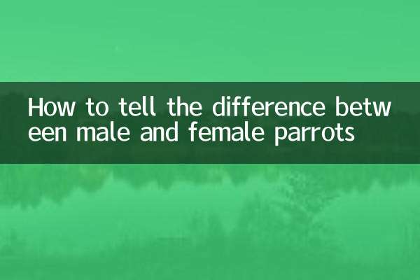 Wie man den Unterschied zwischen männlichen und weiblichen Papageien erkennt