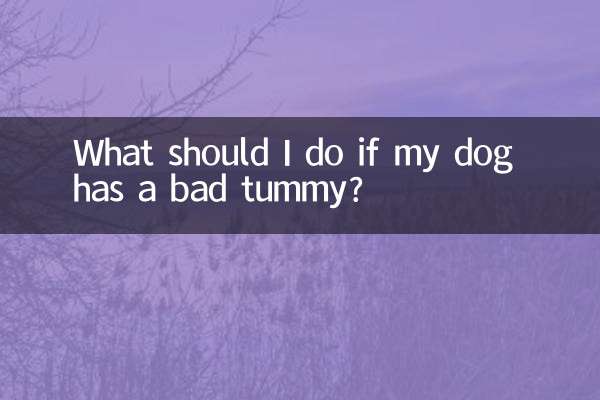 اگر سگم شکم بدی داشته باشد چه باید بکنم؟