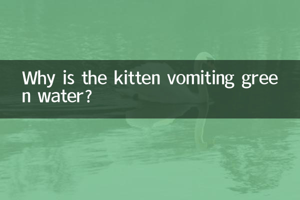 بلی کا بچہ سبز پانی کو الٹی کیوں ہے؟