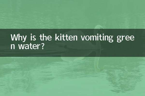 Why is the kitten vomiting green water?