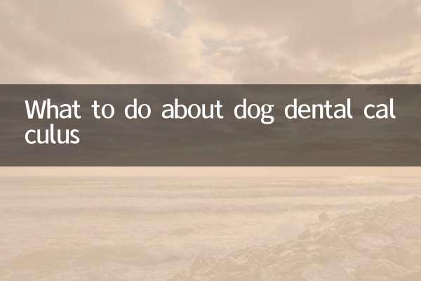 در مورد جرم دندان سگ چه کنیم؟