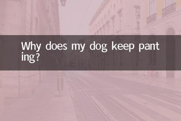 Почему моя собака продолжает задыхаться?