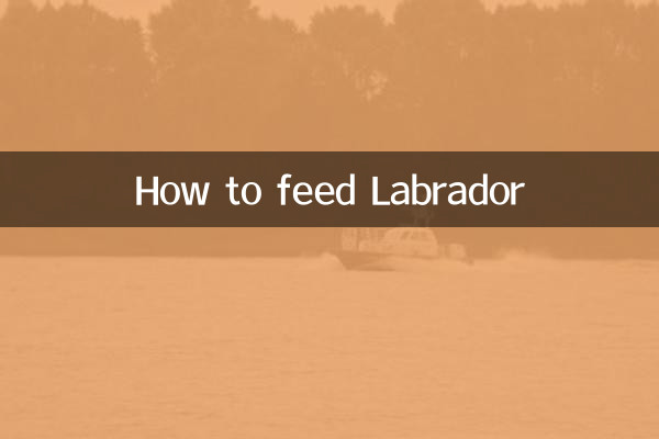 拉布拉多怎麼餵