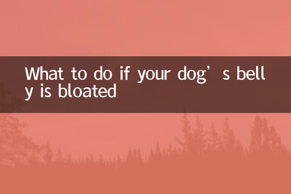 What to do if your dog’s belly is bloated