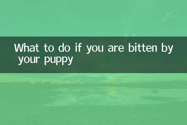 あなたがあなたの子犬に噛まれた場合はどうすればいいですか