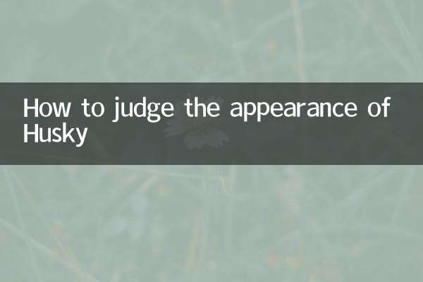 怎麼看哈士奇品相