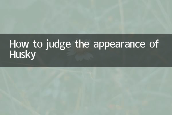 怎么看哈士奇品相