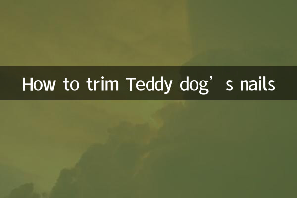 テディドッグの爪の切り方